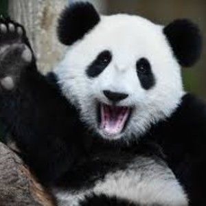 Meet your Posher, Harmony